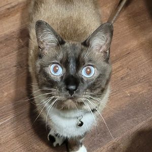 Meet your Posher, Kristofer